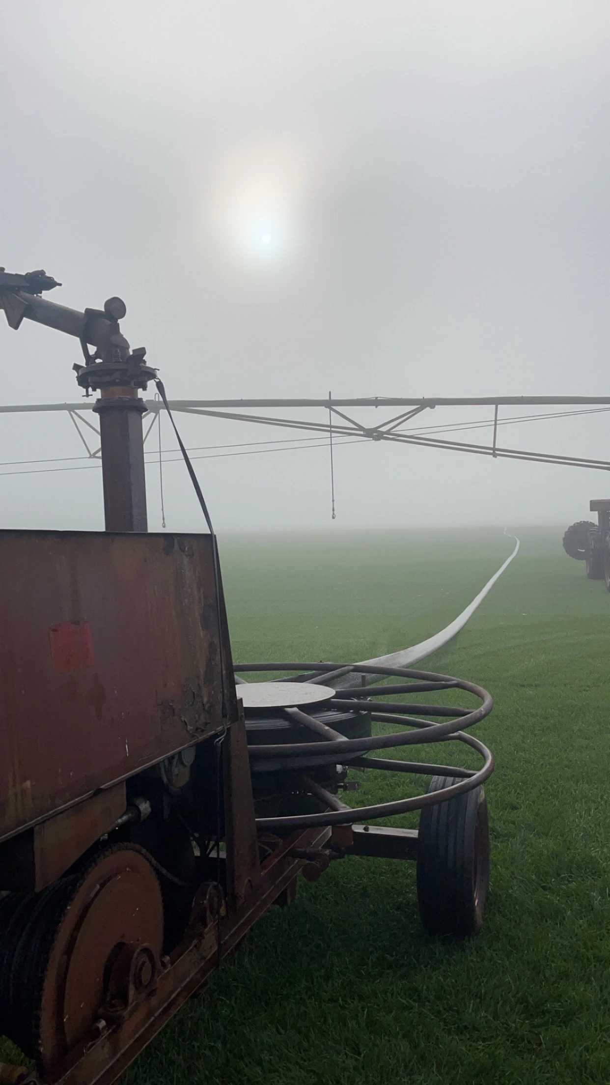 Professional lawn watering showing sprinkler system in action